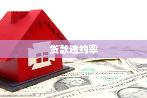 阳明贷款违约率
