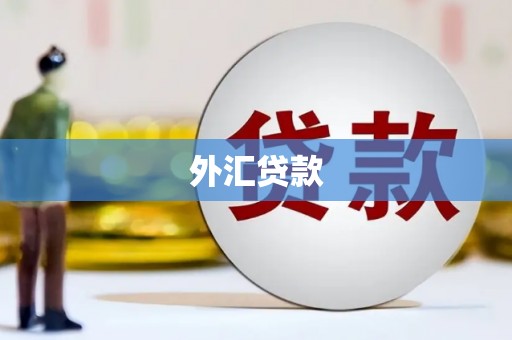 梁园外汇贷款