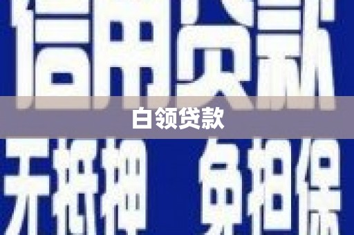 阳明白领贷款