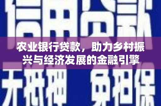 新宁农业银行贷款，助力乡村振兴与经济发展的金融引擎