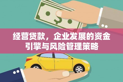 罗山经营贷款，企业发展的资金引擎与风险管理策略