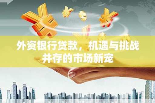 开阳外资银行贷款，机遇与挑战并存的市场新宠