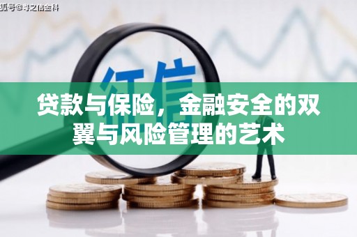 开阳贷款与保险，金融安全的双翼与风险管理的艺术
