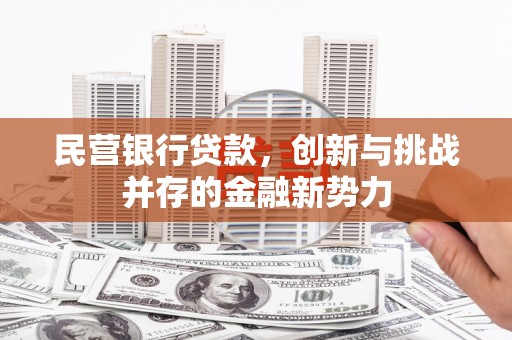 南川民营银行贷款，创新与挑战并存的金融新势力