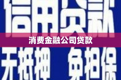 阳明消费金融公司贷款