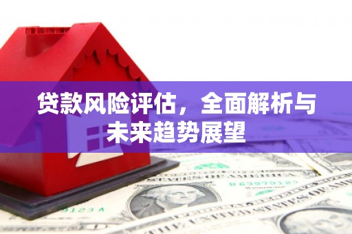 农安贷款风险评估，全面解析与未来趋势展望