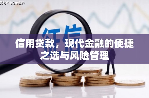 农安信用贷款，现代金融的便捷之选与风险管理