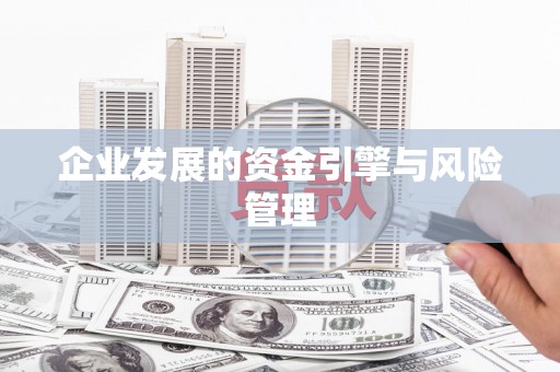 新泰企业发展的资金引擎与风险管理