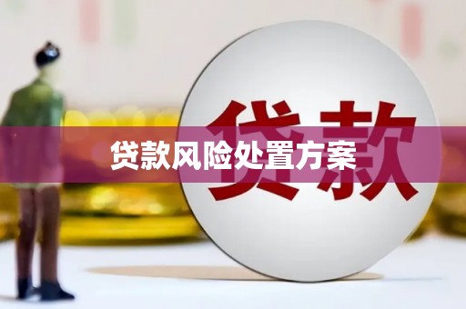 特克斯贷款风险处置方案