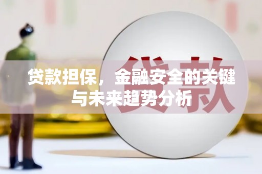 清镇贷款担保，金融安全的关键与未来趋势分析