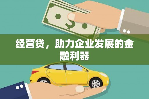 阆中经营贷，助力企业发展的金融利器