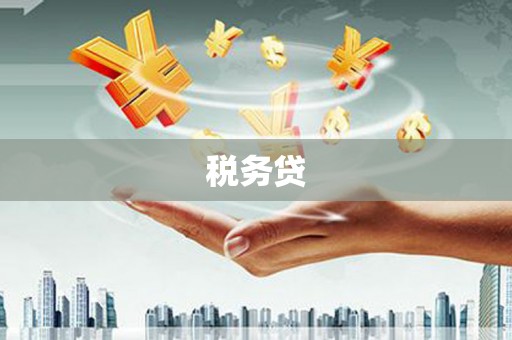 黎平税务贷