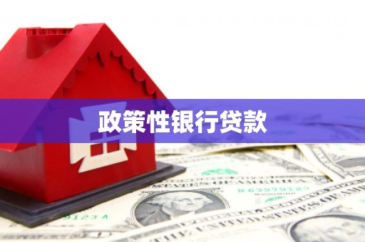 丽江政策性银行贷款