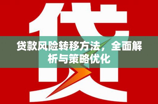 麻栗坡贷款风险转移方法，全面解析与策略优化