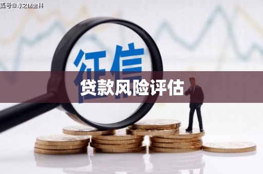 南芬贷款风险评估
