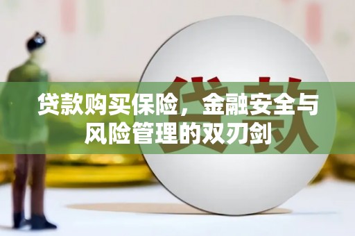 工布江达贷款购买保险，金融安全与风险管理的双刃剑