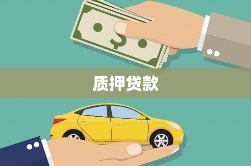 合山质押贷款