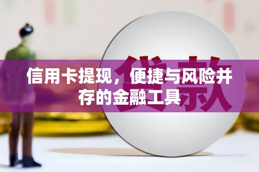 清丰信用卡提现，便捷与风险并存的金融工具
