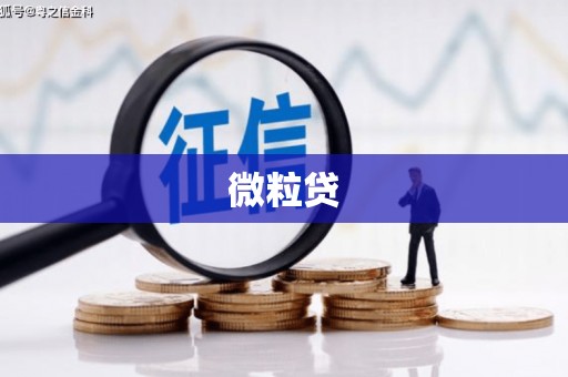 清远微粒贷