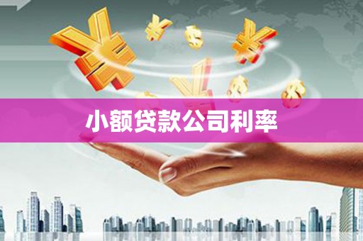 池上小额贷款公司利率