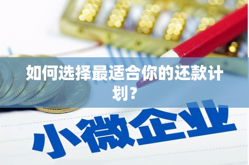 清远如何选择最适合你的还款计划？