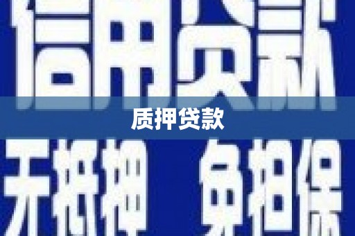龙川质押贷款