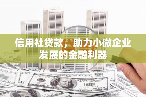 仙游信用社贷款，助力小微企业发展的金融利器