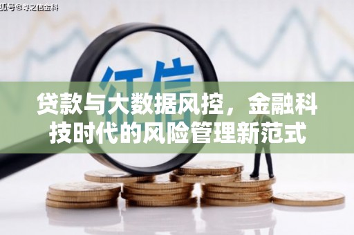 颍泉贷款与大数据风控，金融科技时代的风险管理新范式