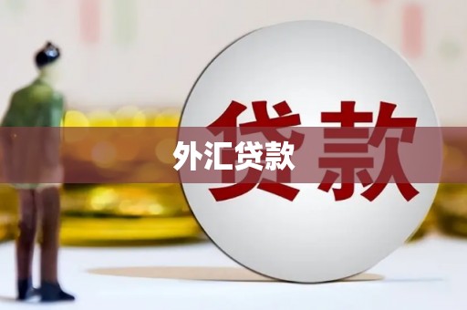 奉节外汇贷款