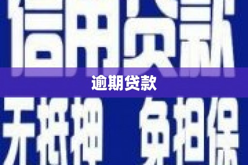 夏县逾期贷款
