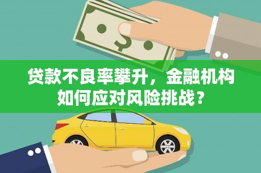 广南贷款不良率攀升，金融机构如何应对风险挑战？