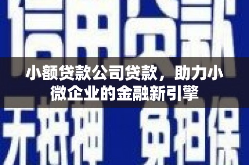 广南小额贷款公司贷款，助力小微企业的金融新引擎