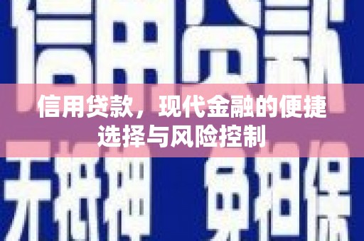 石嘴山信用贷款，现代金融的便捷选择与风险控制