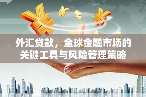 苗栗外汇贷款，全球金融市场的关键工具与风险管理策略