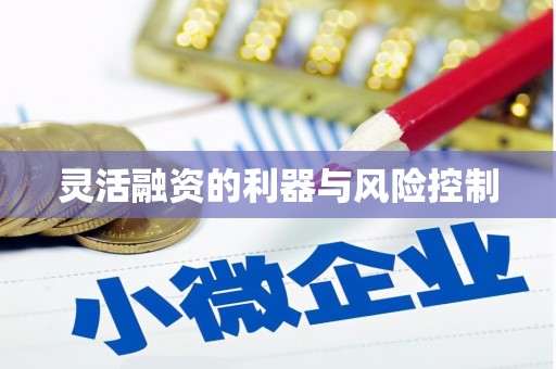 闽清灵活融资的利器与风险控制