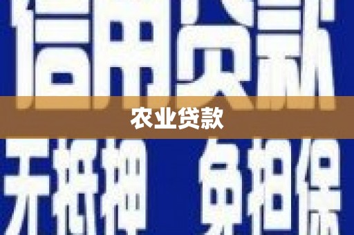 武山农业贷款