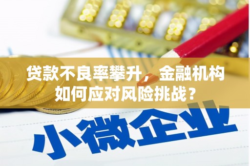 嘉荫贷款不良率攀升，金融机构如何应对风险挑战？