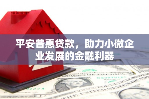 兰州平安普惠贷款，助力小微企业发展的金融利器