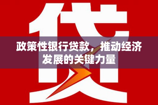 修文政策性银行贷款，推动经济发展的关键力量