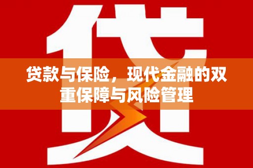 上犹贷款与保险，现代金融的双重保障与风险管理