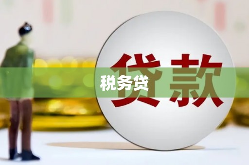 焉耆税务贷