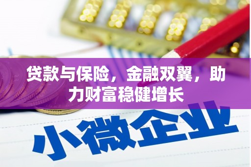 资中贷款与保险，金融双翼，助力财富稳健增长
