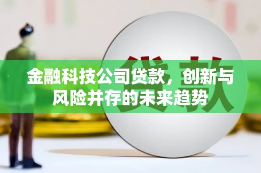 资中金融科技公司贷款，创新与风险并存的未来趋势