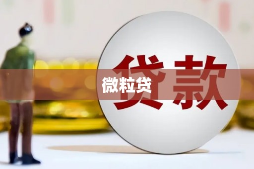泽普微粒贷