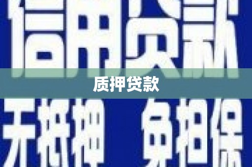 林甸质押贷款