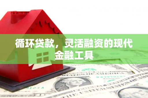 岳阳楼循环贷款，灵活融资的现代金融工具