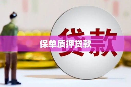 平坝保单质押贷款