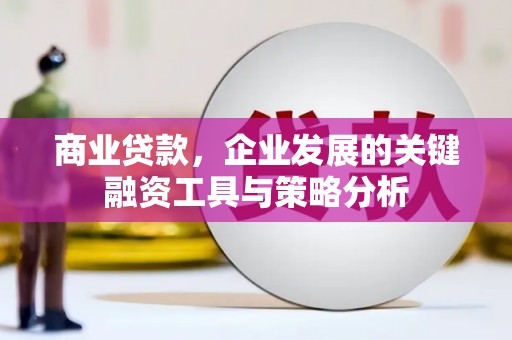 红塔商业贷款，企业发展的关键融资工具与策略分析