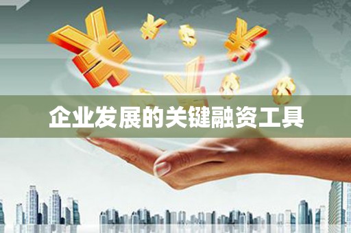 洋县企业发展的关键融资工具