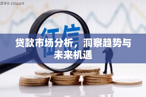 津南贷款市场分析，洞察趋势与未来机遇